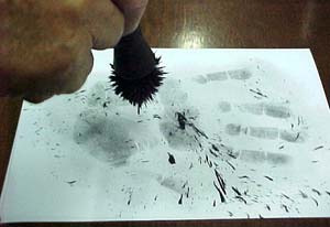 foto do curso de perito particular mrs abrinp